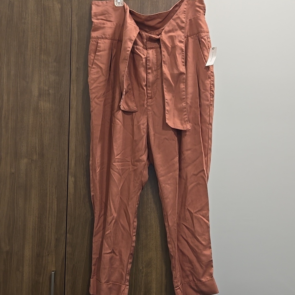 Anthropologie-Cartonniere NWT Belt Front Pants Rose 100% Lyocell-Size 14 - Picture 5 of 16